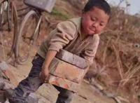 吃里搬砖图片表情