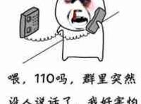 喂！110吗？群里突然没人说话了，我好害怕