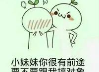 小妹妹你很有前途，要不要跟我搞对象