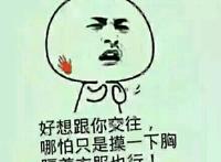 好想跟你交往，哪怕只是摸一下胸 隔着衣服也行！