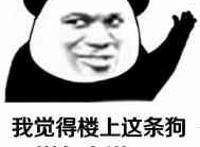 我觉得楼上这条狗 说得有道理