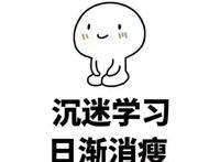 沉迷学习，日渐消瘦