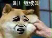 叫！继续叫！