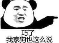 巧了，我家狗也这么说