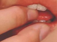 邪恶gif出处第445期