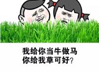 我给你当牛做马 你给我草可好？
