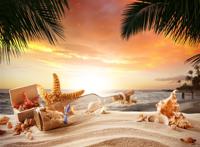 海星漂流瓶唯美图片