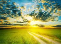 草地小路落日黄昏图片