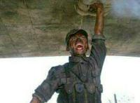 董存瑞：楼上装逼狗你死定了