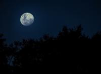 夜晚高清月亮图片