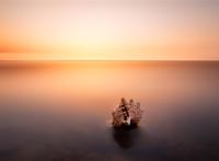 沙滩上一个孤单的贝壳图片