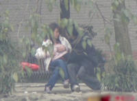 小学生早恋强吻动图片