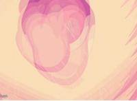 真人姓交视频播放短袖短道速滑