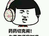 药药切克闹，你是傻逼我知道