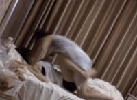 做暖dnf动态长图 做暖dnf动态ufo网站