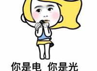 你是电，你是光，你是唯一的智障