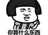 你算个什么东西凭什么听你的