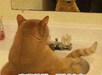 寂寞帅猫，同城交友，深夜裸聊，一次五毛