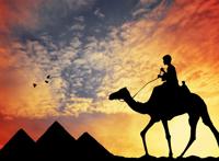 傍晚晚霞下骑着骆驼的孩子图片