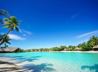 浅滩清澈蓝色海水椰子树茅屋休闲图片