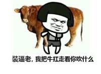 装逼佬，我把牛扛走了看你吹什么