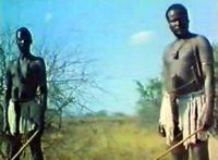 男人生育器11厘米图 切掉男人的生育器图