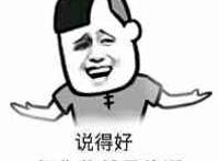 说得好但你依然是傻逼