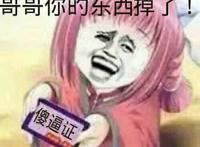 哥哥你的东西掉了(傻逼证) 哥哥你的东西掉了(傻逼证)