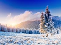 碧树银装白雪山林图片