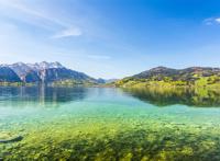 山脚下长满水草的湖泊图片