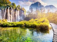 瀑布公园林木小路图片