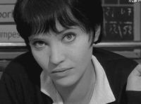 美女相册动态壁纸