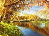 秋天河边树木变黄图片