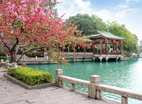 公园湖边角落盛开的桃花图片