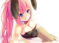 翼之鸟漫画大全 海贼王漫画娜美被侮辱在哪一话