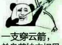 一支穿云箭单身妹妹来相见