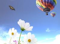 盛开的花朵蓝色天空 热气球图片