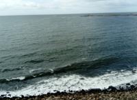 冬天海边寒冷图片