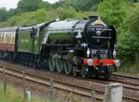 运行中的绿皮古风火车图片