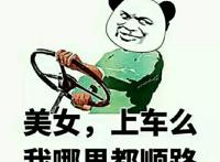 美女上车吗 我哪里都顺路