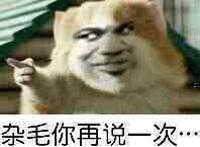 杂毛你再说一次