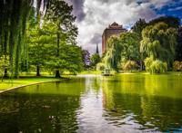 波士顿公园风景图片