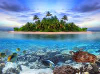 海中的一个鱼类富饶的小岛图片