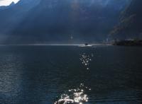 山上湖泊游泳的鹅图片