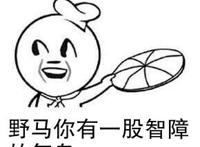野马你有一股智障的气息