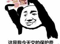 这是我今天交的保护费请狗管理拿好