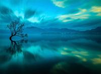 在湖中孤独的一棵大树图片