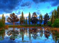 树林中的湿地美景图片