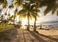 荒芜的海滩日出图片