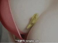 女人那个东西照片 女人怎么手谣视频